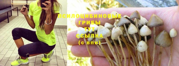 твердый Богородицк