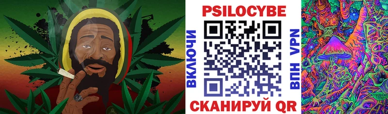 Купить закладки  Благовещенск  Галлюциногенные грибы мухоморы 